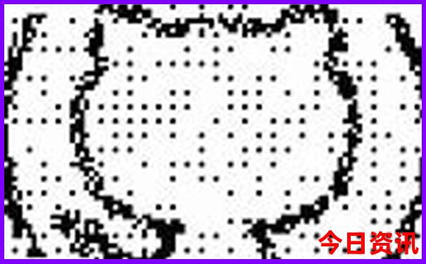 新奥全新政策2025升级资料全新资料大全全新获取最新-王中王493333特马王中王